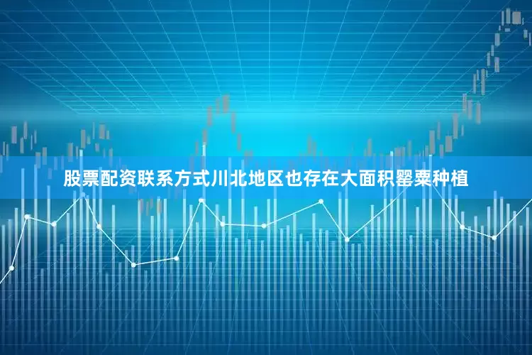 股票配资联系方式川北地区也存在大面积罂粟种植
